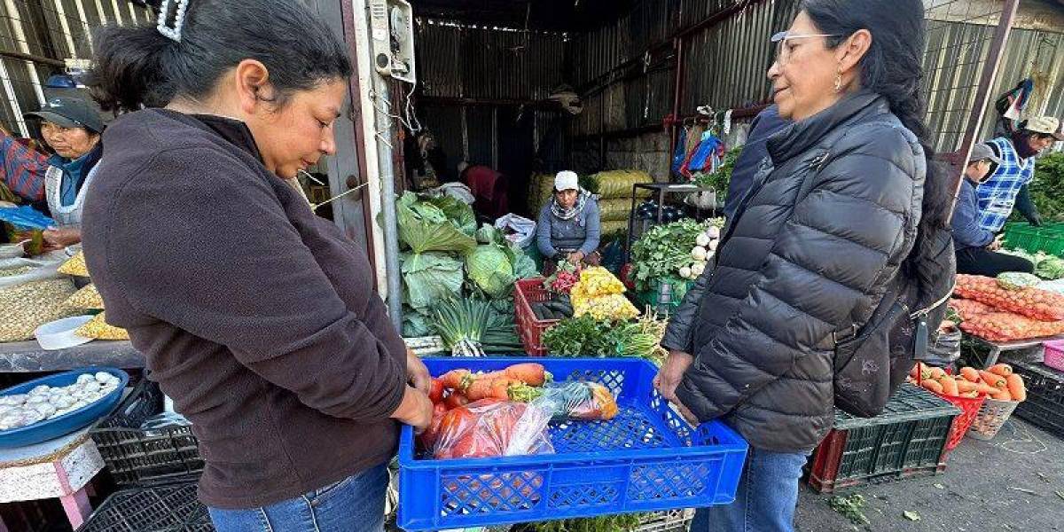 El Concejo Metropolitano De Quito Aprueba Ordenanza Que Busca Reducir