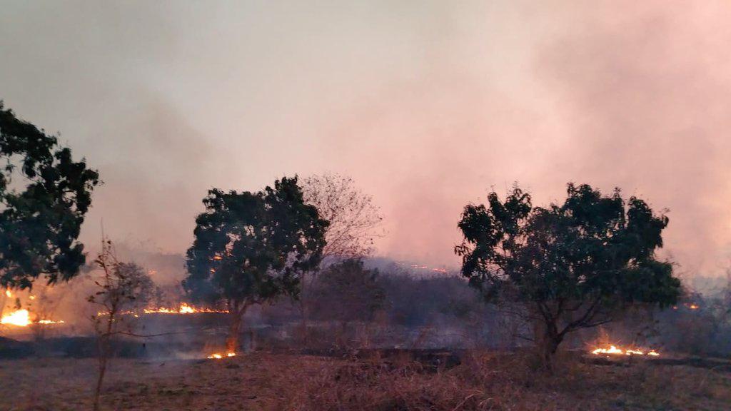 El Cuerpo de Bomberos de Guayaquil combatió incendio forestal en el kilómetro 23.5 de Vía a la Costa