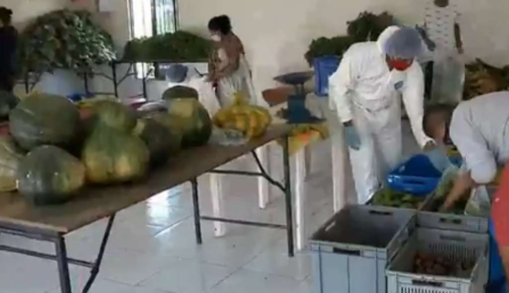 Campesinos del país ofrecen productos agrícolas a menor precio