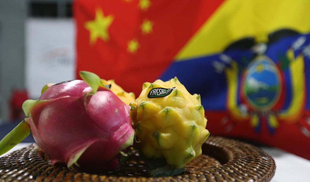 Ecuador comienza a exportar pitahaya a China