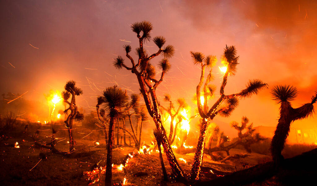 Vientos empujan incendios hacia zona desértica en California