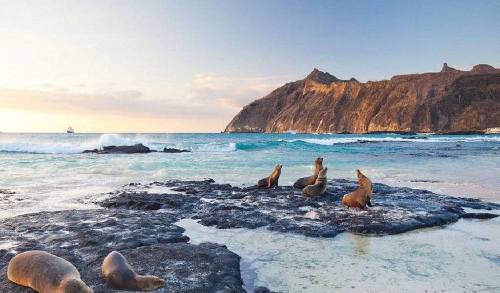 Galápagos, entre los embates de la pandemia y restricciones medioambientales