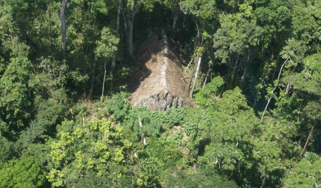 Estado ecuatoriano toma custodia de niña Taromenane