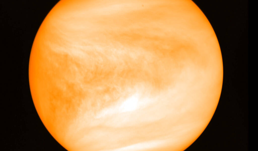 Descubren indicios de vida en las nubes de Venus