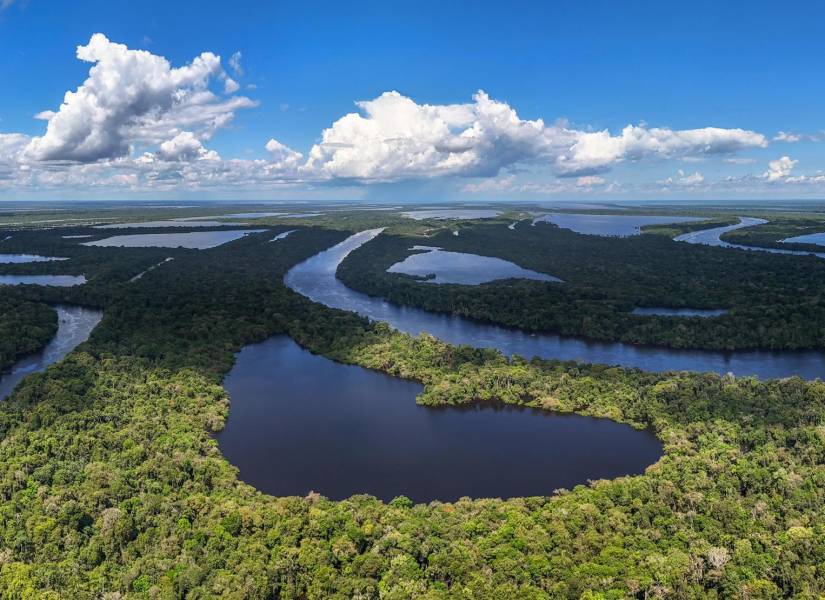 Fotografía aérea donde se observa una zona del Parque Nacional Anavilhanas, en el estado de Amazonas (Brasil).