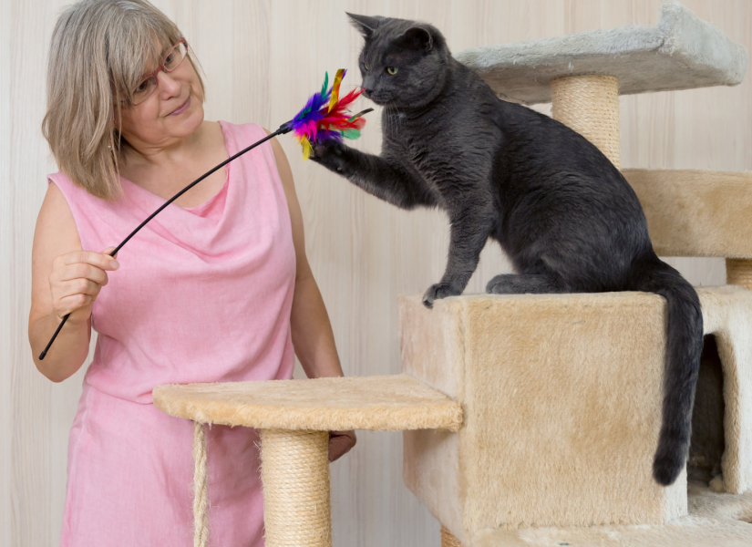 Mujer jugando con su gato