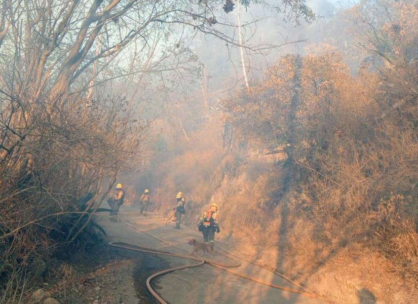 Incendio en Tumbaco