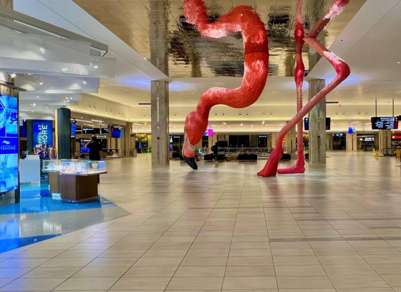 Un flamenco gigante: el aeropuerto de Tampa