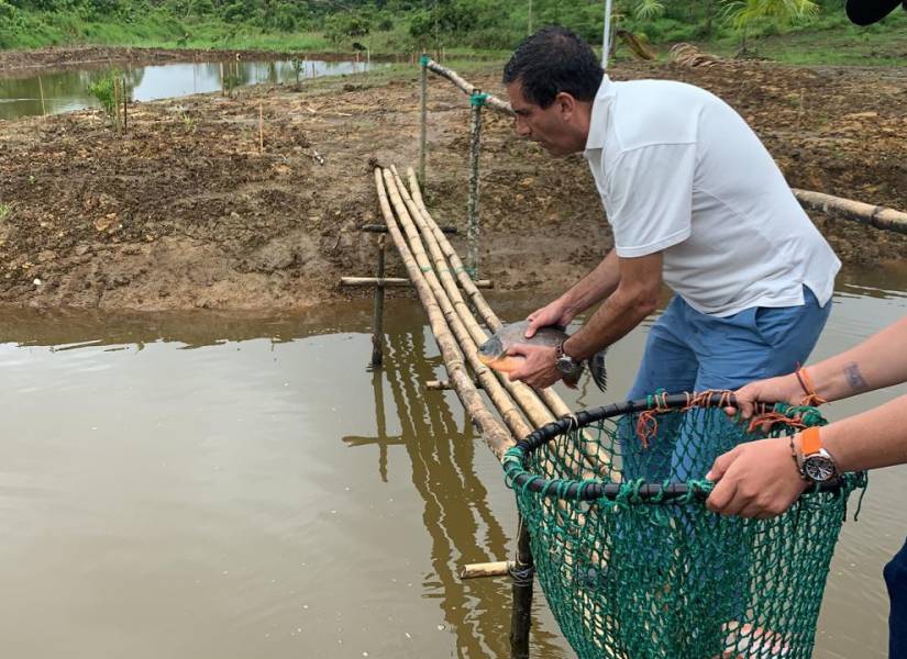 Imagen de un hombre sosteniendo una tilapia en una laguna de la cárcel de Archidona, Napo. Foto del 21 de diciembre del 2019.