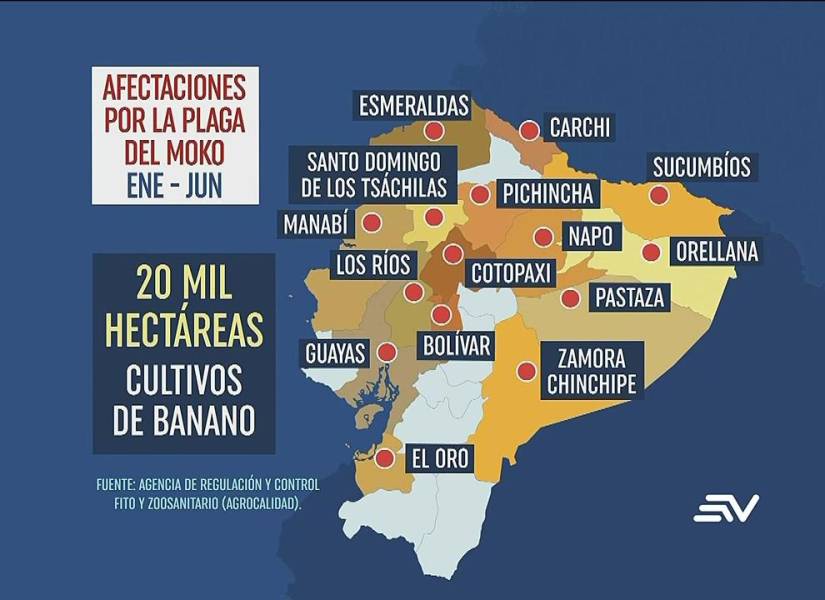 Mapa de las provincias afectadas por la plaga Moko en Ecuador.