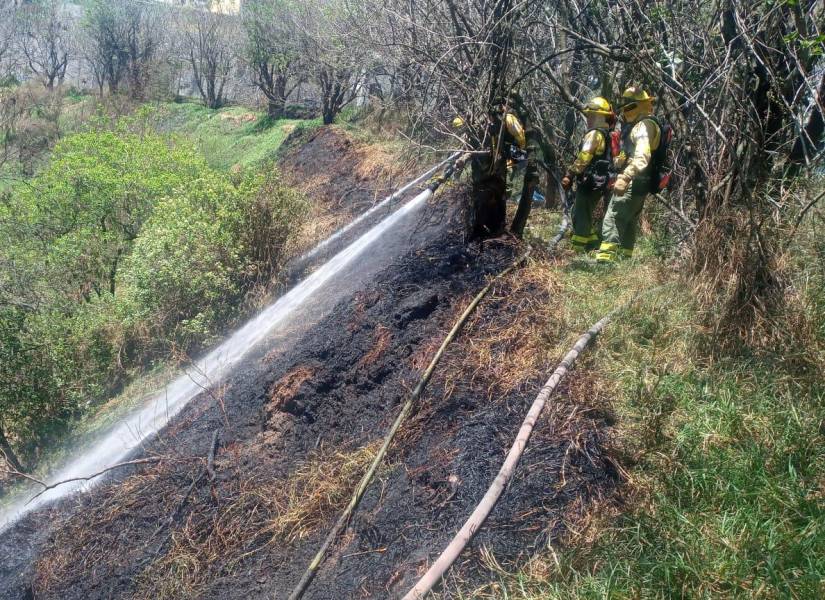 El matorral de la quebrada quedó calcinado.