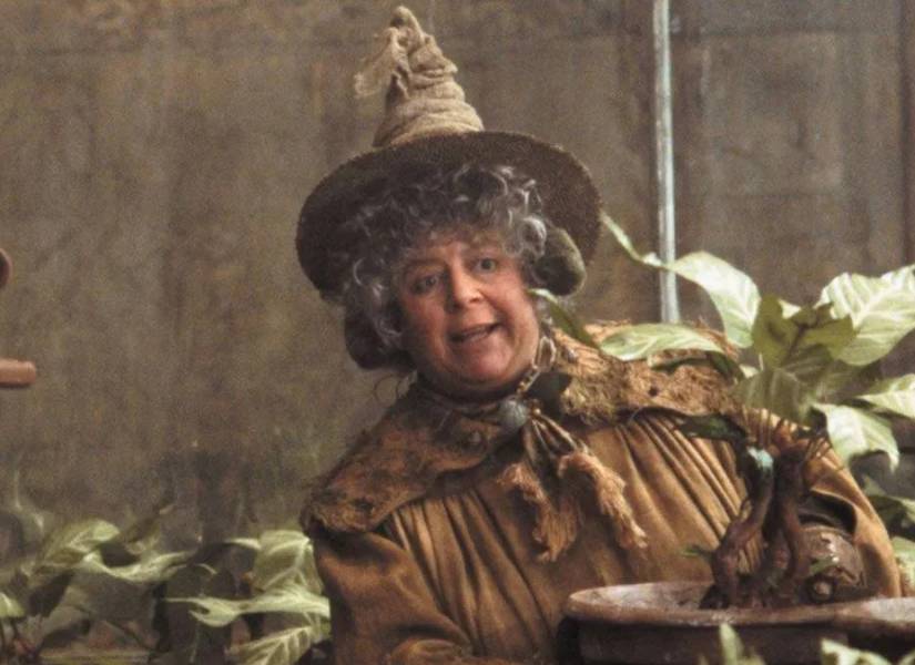 Imagen de archivo de la actriz Miriam Margolyes en película de Harry Potter.