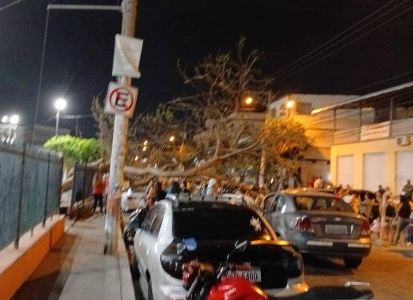 La caída de un árbol sobre dos vehículos causó alarma en el norte de Guayaquil este