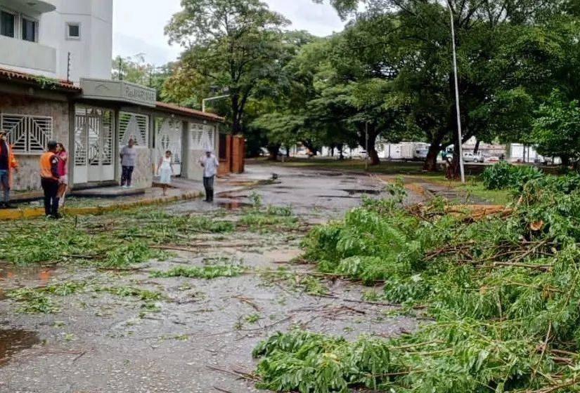 Árboles caídos en Maracay.