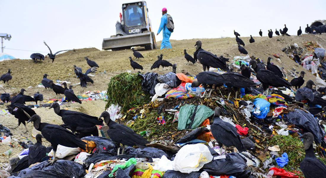 Jóvenes piden declaración de emergencia climática en Ecuador