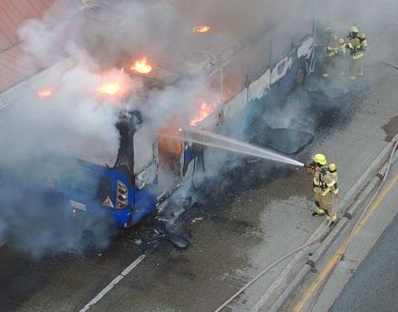 VIDEO: un heroico bombero salva a un perro atrapado en un estanque