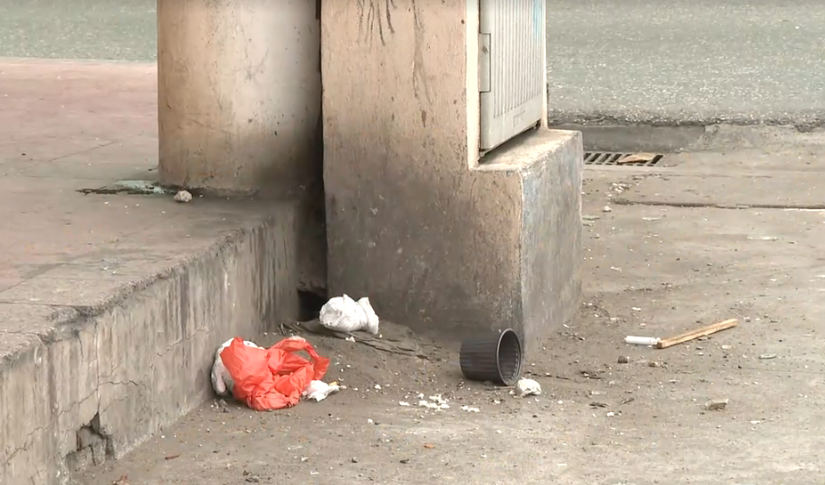 La proliferación de ratas preocupa a los moradores y comerciantes del centro de Guayaquil