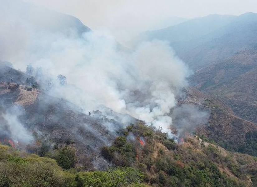 El fuego ha arrasado más de 1 600 hectáreas de cultivos.