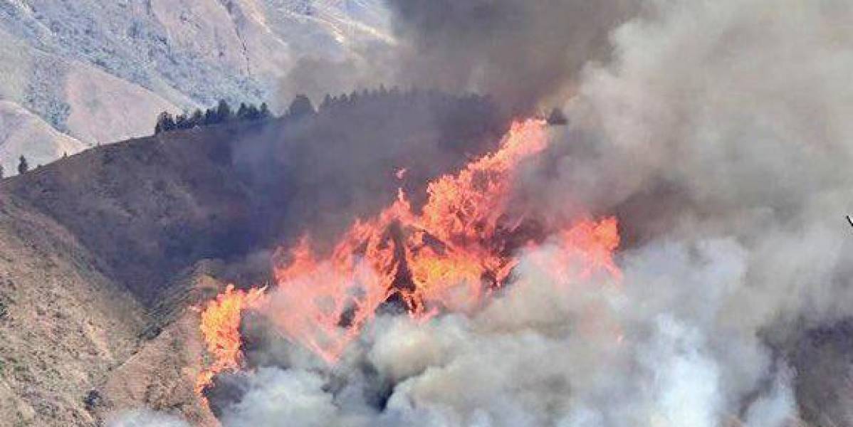 La Secretaría de Gestión de Riesgos monitorea 10 incendios forestales en siete provincias