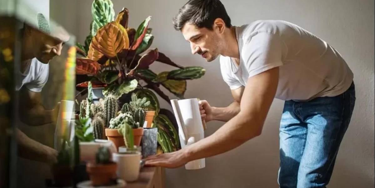 Pequeñas tareas como regar las plantas o doblar la ropa son tan terapéuticas