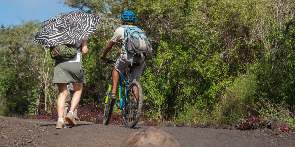 Una turista polaca denuncia que fue violada en Galápagos