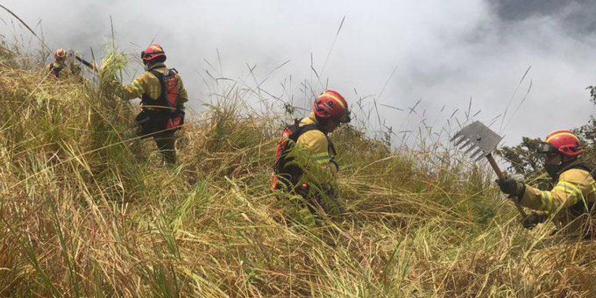 El incendio en el Parque Nacional Cajas fue liquidado luego de dos semanas de labores