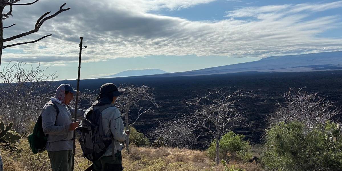 Galápagos: ¿Sobrepoblación y envenenamiento de perros?