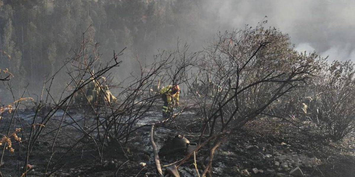 19 provincias son zonas de posibles incendios forestales en Ecuador