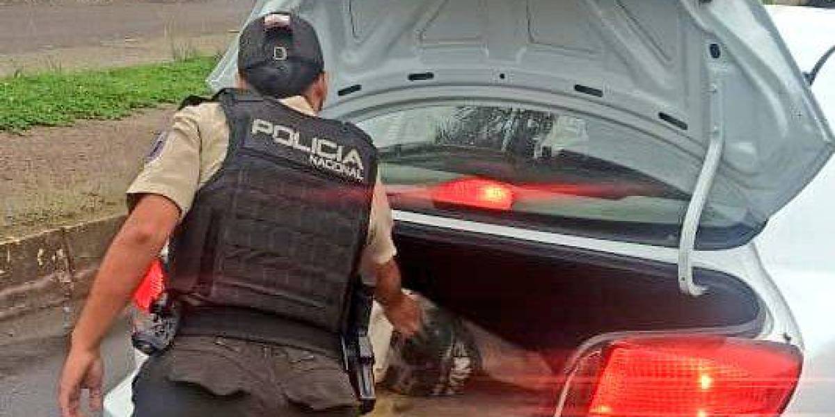 Los policías y militares desplegaron un megaoperativo de seguridad en Durán