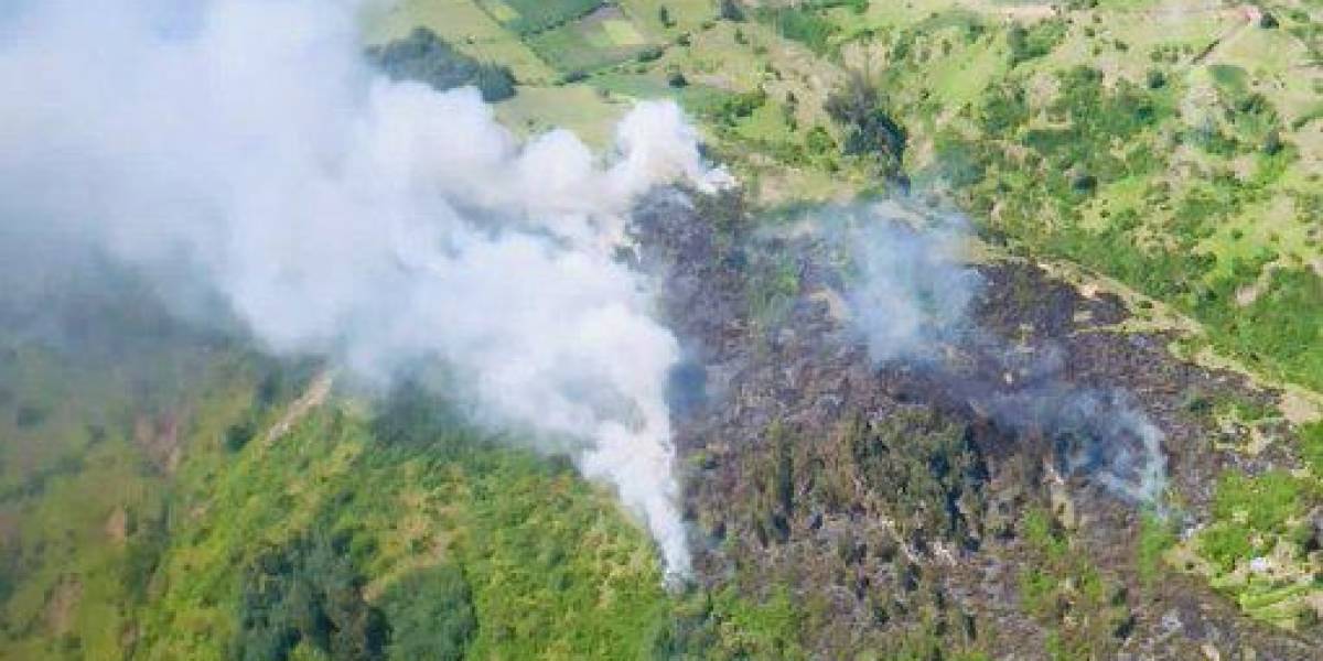 Quito: un incendio forestal se reporta en el cerro Ilaló