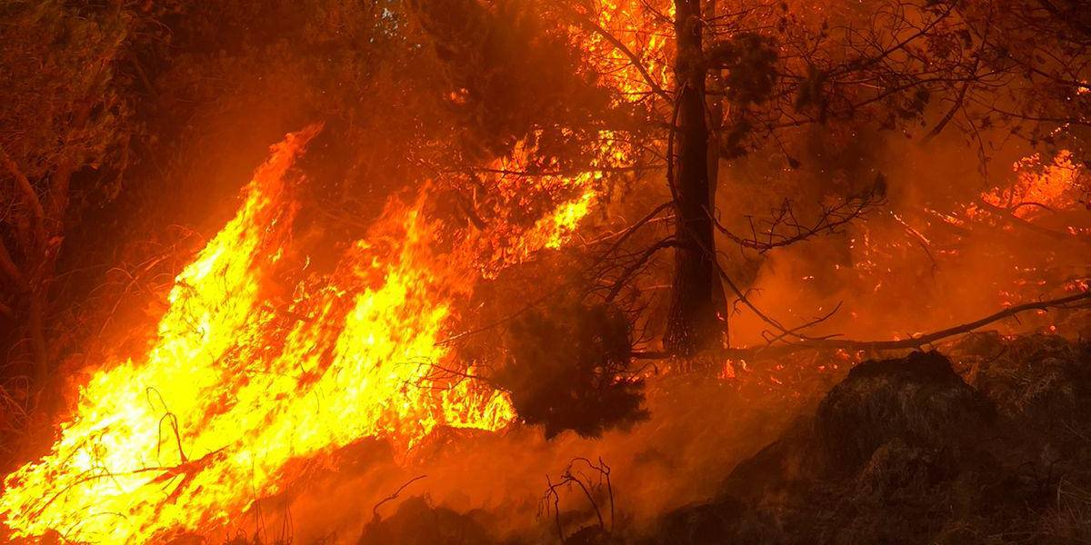 Por lo menos ocho incendios forestales se han registrado en Cotopaxi, del 23 al 25 de septiembre