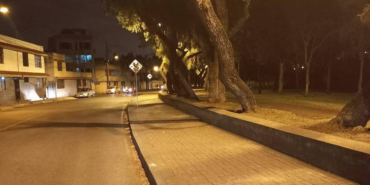 Quito: un joven se colgó de un árbol en un parque de El Calzado
