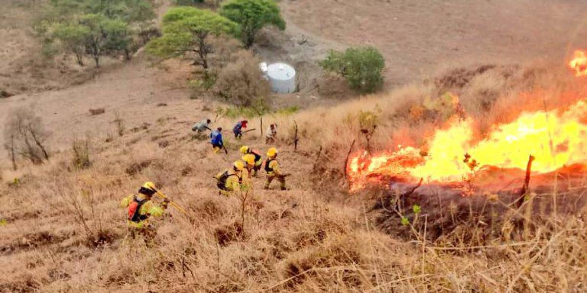 Tres incendios están activos en Loja, uno de ellos está cerca del Parque Nacional Podocarpus