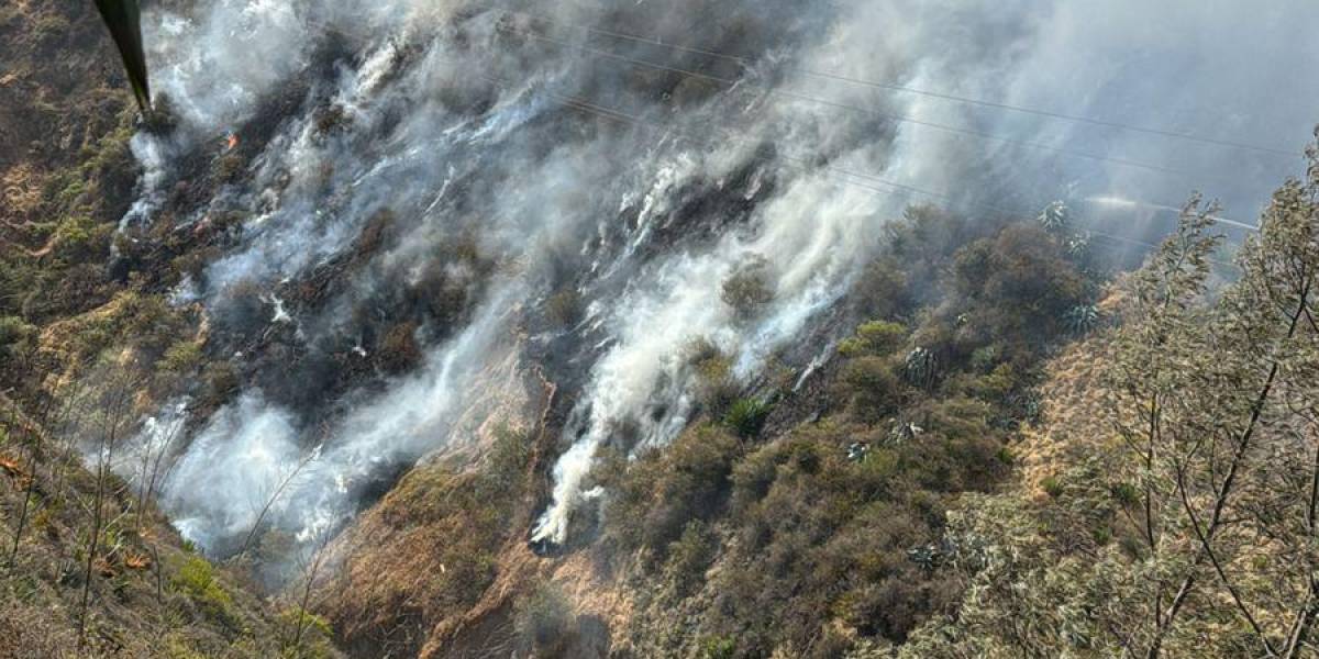 Un incendio forestal se registra en Carcelén, norte de Quito, la tarde de este 1 de octubre