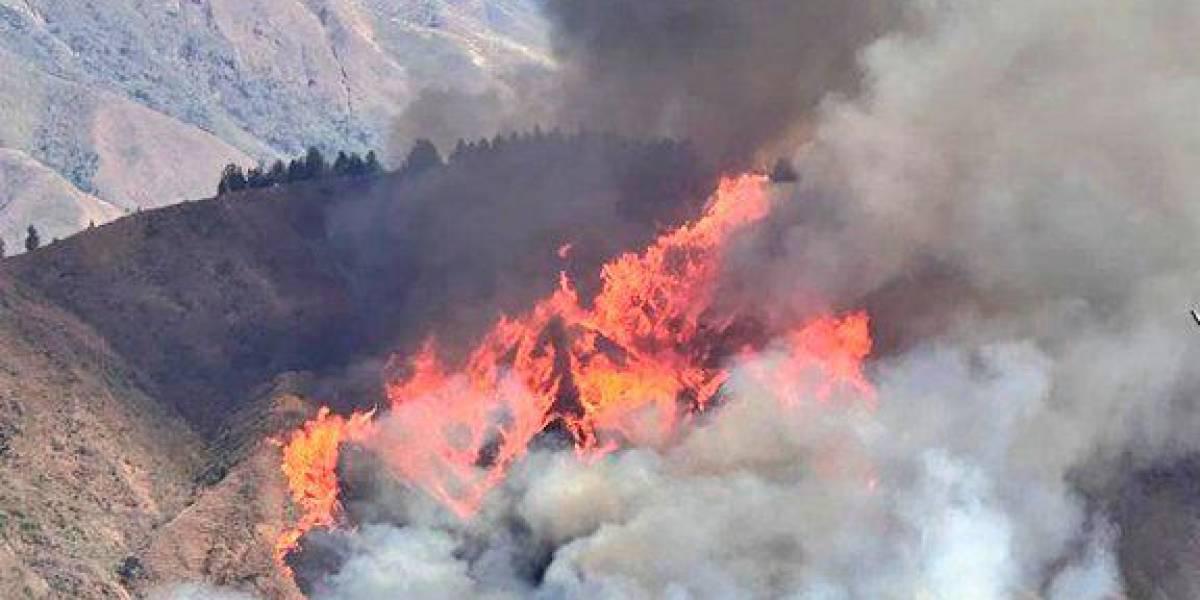 2024 fue el año con mayor número de incendios forestales en la historia de Ecuador