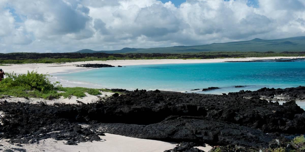 Galápagos: Ambiente cierra Playa Mann para proteger a lobos marinos