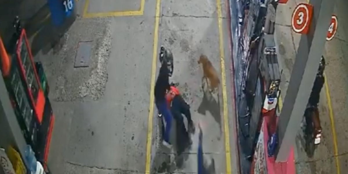 Un perro enfrentó a unos ladrones y evitó el atraco en una gasolinera de Bogotá, Colombia