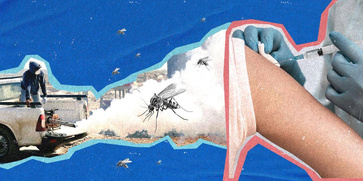 Las vacunas contra el dengue se perfilan como una opción más eficaz para enfrentar el brote en Ecuador