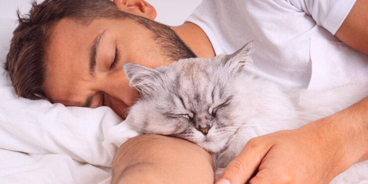 ¿Por qué los gatos eligen a una persona para dormir?