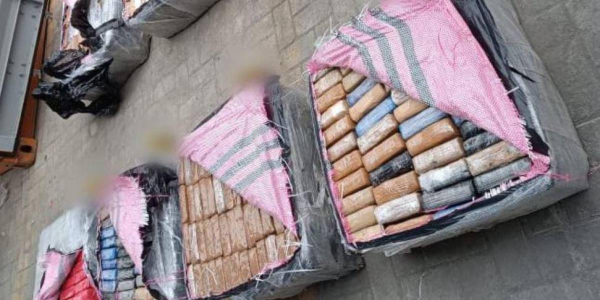 165 kilos de cocaína camuflados en pitahaya procedente de Ecuador fueron decomisados en España