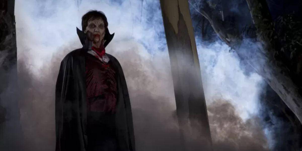 ¿Por qué se asocia al murciélago con el mito del vampiro?