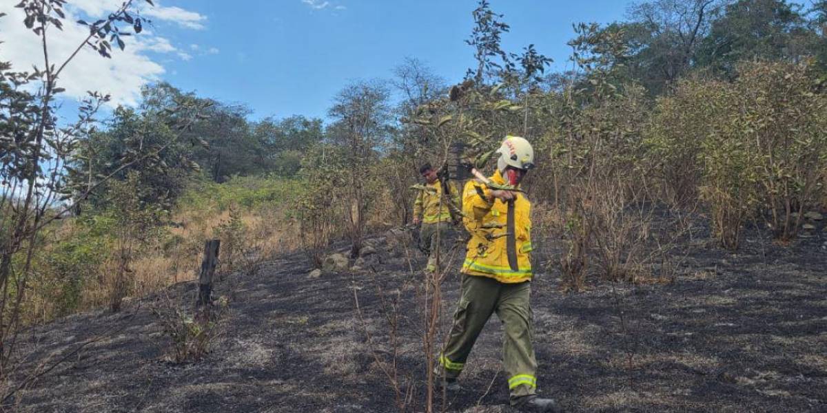 Un incendio forestal se registra en Zapotillo, Loja, este 28 de octubre