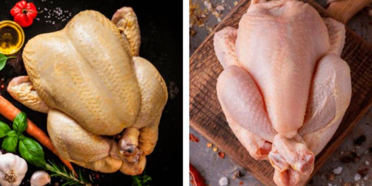 El misterio del pollo amarillo y blanco: ¿cuál es más saludable?