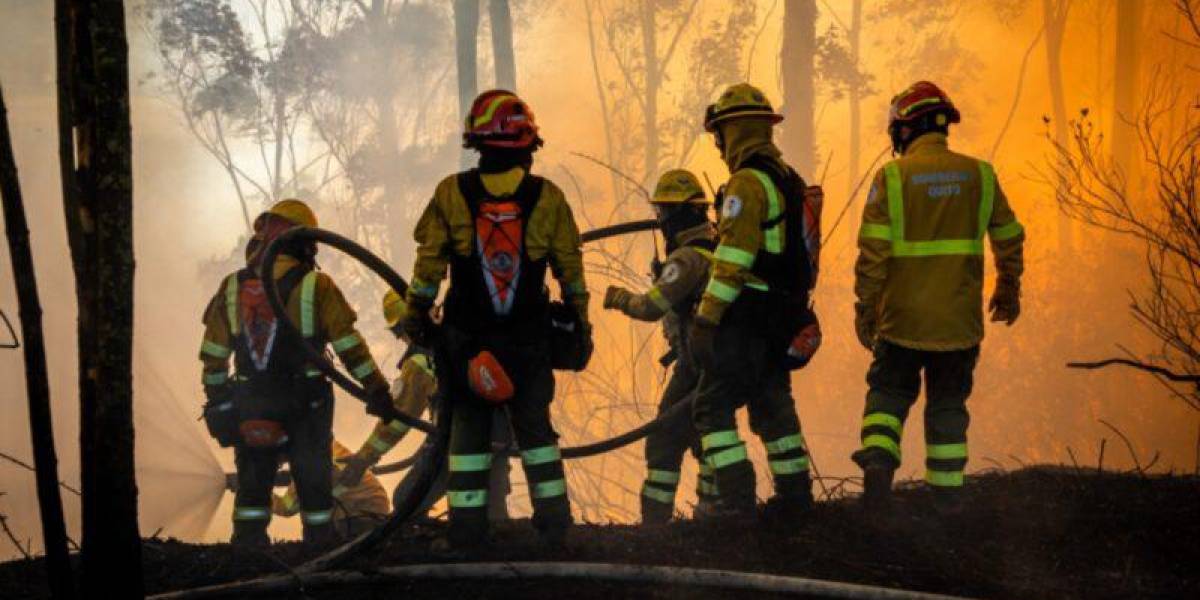 Quito: sospechoso de incendio forestal, en el sector del puente El Chiche, fue detenido