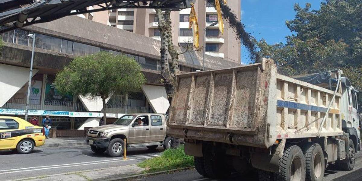 Quito: Los trabajos de repavimentación en la avenida Colón durarán seis meses