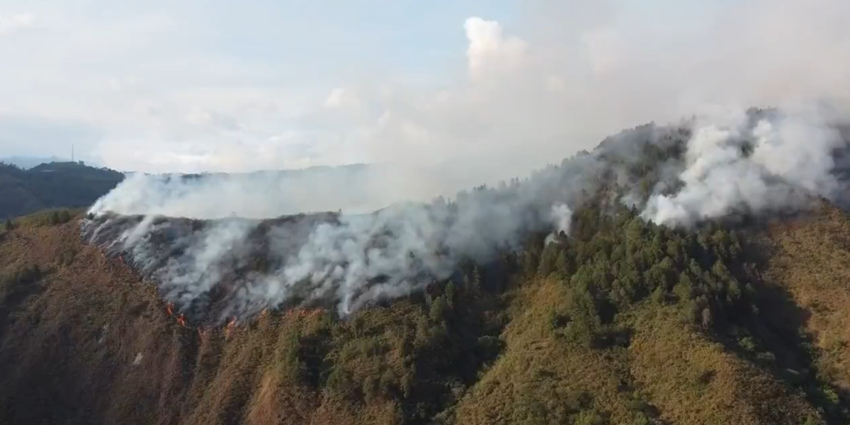 El Gobierno afirma que el incendio en Quilanga, Loja ya está controlado