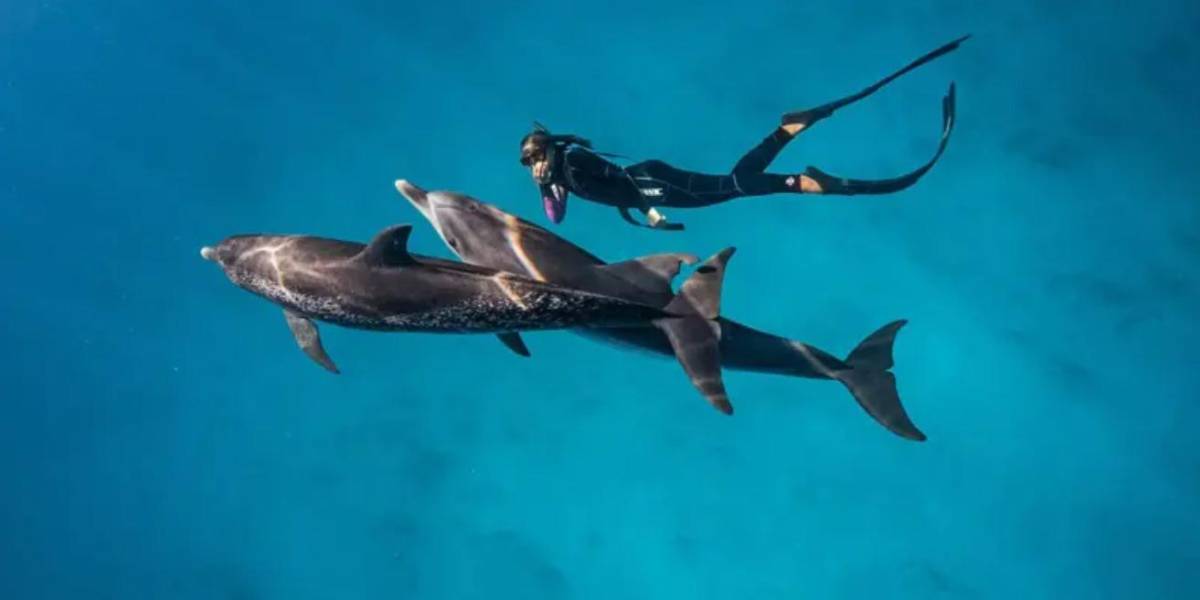 13 extraordinarias fotografías para inspirarte a cuidar el océano