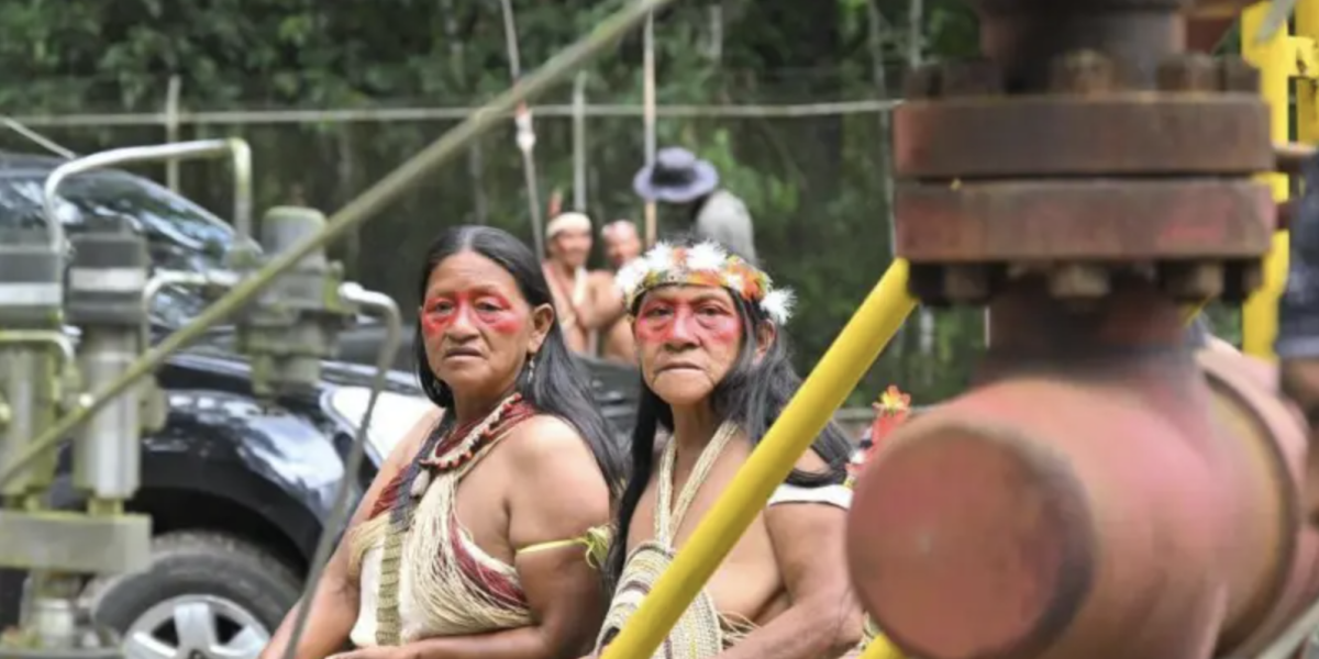 Por qué Ecuador sigue explotando petróleo en el Parque Yasuní un año después del histórico referendo en el que se votó a favor de prohibirlo