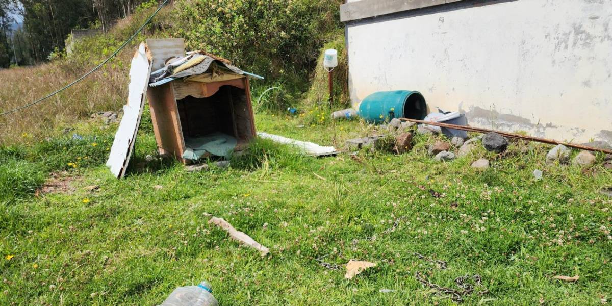 Quito | Una mujer de 94 años resultó gravemente herida tras el ataque de un perro en Conocoto