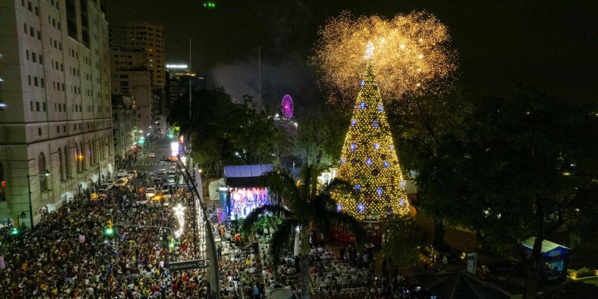 Aquiles Álvarez afirma que con generadores se encenderán los árboles de Navidad del Municipio de Guayaquil